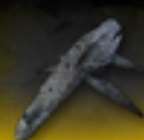 雷索纳斯稀有材料获取秘籍：掌握这些 *** ，轻松收集珍稀道具！