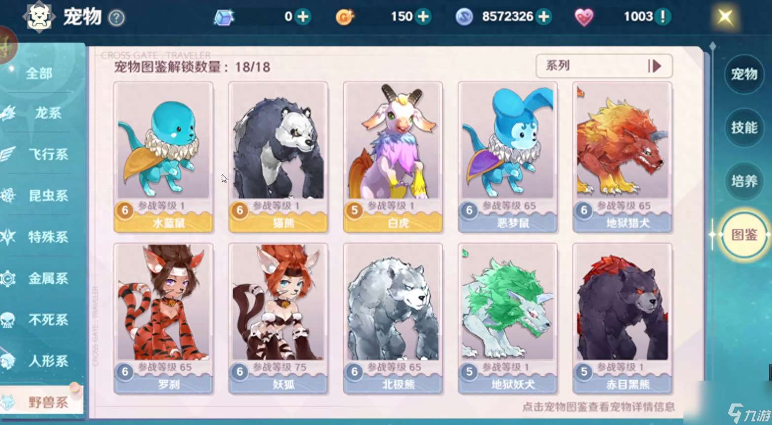 魔力宝贝虎头蜂捕捉攻略：更佳捕捉地点与技巧分享