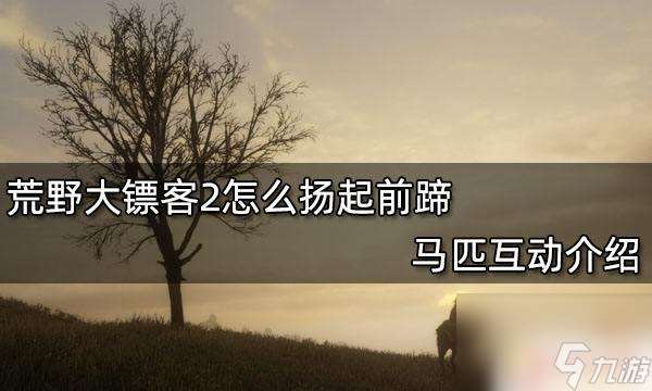 荒野大镖客马怎样抬头 荒野大镖客2 马匹前蹄扬起教程