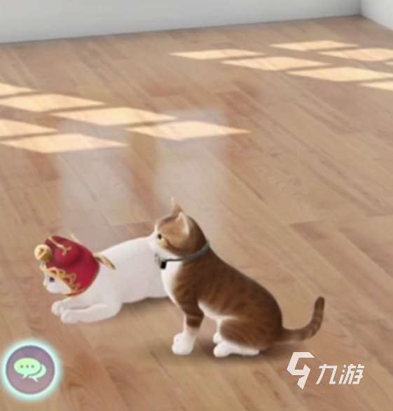 超喵星计划怎么给猫咪进阶 超喵星计划猫咪进阶方法介绍