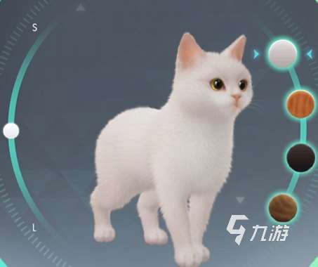 超喵星计划怎么跟人分享猫猫 超喵星计划小猫怎么送人