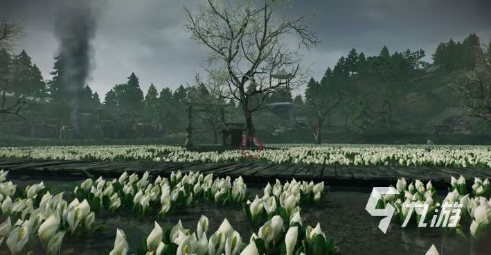 浪人崛起拍照点位置一览 浪人崛起拍照点在哪里