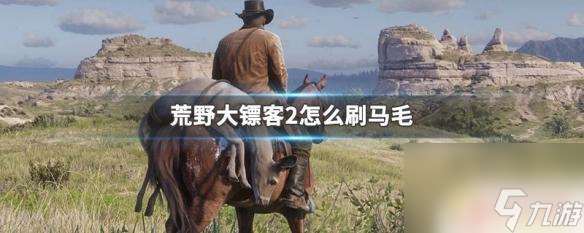 荒野大镖客2马怎么刷毛 如何在荒野大镖客2中快速刷马毛