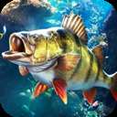 歡樂釣魚大師兌換碼是什么 歡樂釣魚大師禮包兌換碼分享