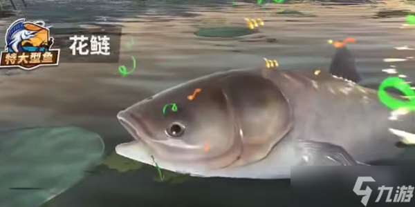歡樂釣魚大師釣魚技巧和方法
