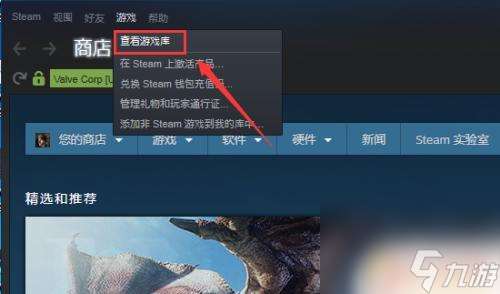 steam上购买的游戏 Steam怎么查看我拥有的游戏