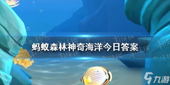 圣诞树蠕虫因为什么而得名 长得像圣诞树还是会不停地闪烁