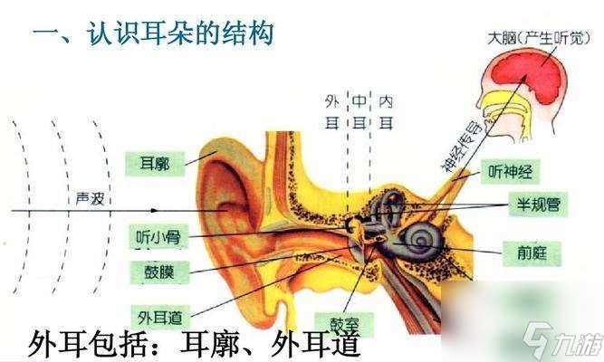 听觉通关游戏（打造听力）