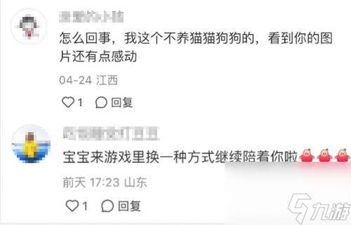 强推!申请以闪亮之名游戏加入养宠人必入清单