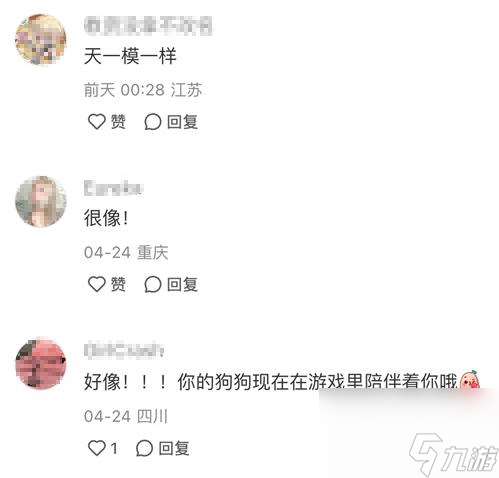 强推!申请以闪亮之名游戏加入养宠人必入清单