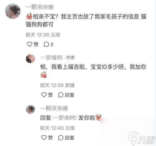 强推!申请以闪亮之名游戏加入养宠人必入清单