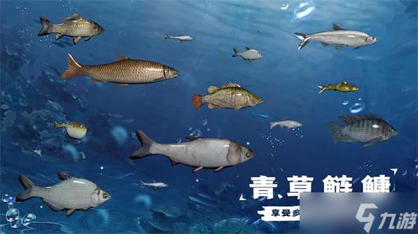 天天钓鱼水族馆收入攻略 水族馆鱼收入计算方法