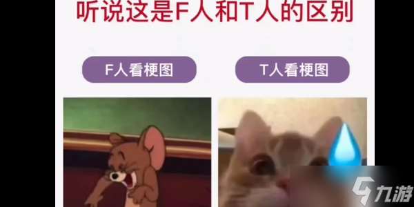 t人和f人怎么区分