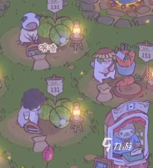貓咪和湯花椰菜的區別是什么 貓咪和湯花椰菜有哪些