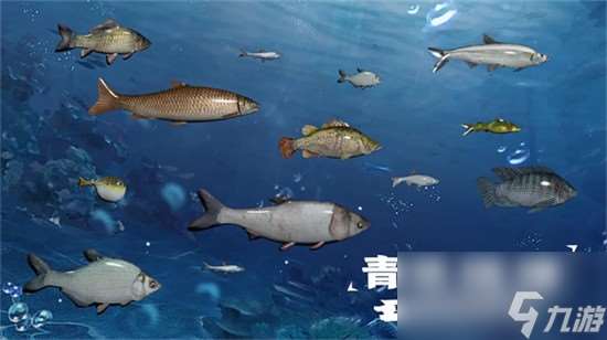 天天釣魚水族館收入如何計算 天天釣魚水族館收入計算方法