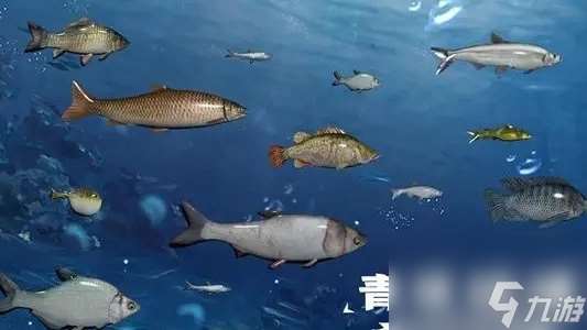 天天钓鱼水族馆收入计算方法