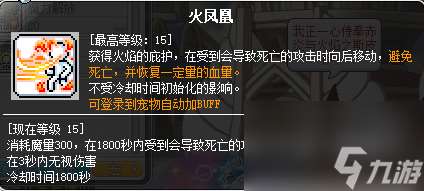 冒险岛炎术士技能展示 冒险岛炎术士技能介绍