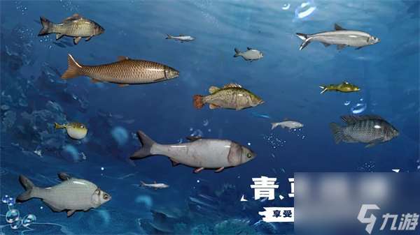 天天钓鱼水族馆收入提升攻略 水族馆鱼收入计算方法