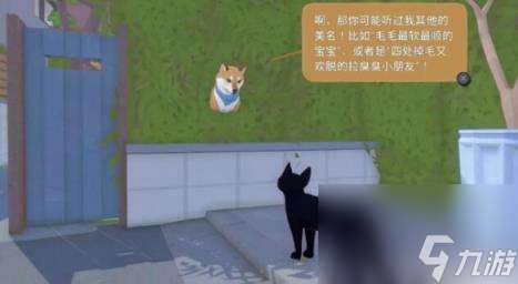 小猫咪大城市动物伙伴图鉴