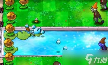 植物大战僵尸杂交版冒险第十四关如何过关