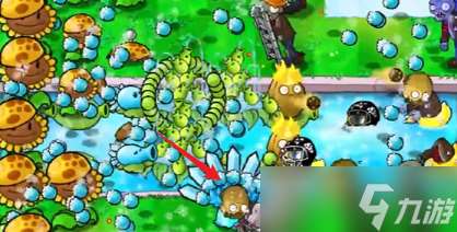 植物大战僵尸杂交版冒险第十四关如何过关