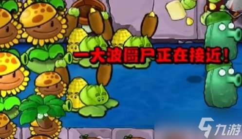 植物大战僵尸杂交版冒险模式第31关通关攻略