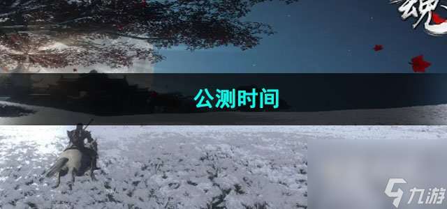 魂之追梦公测时间