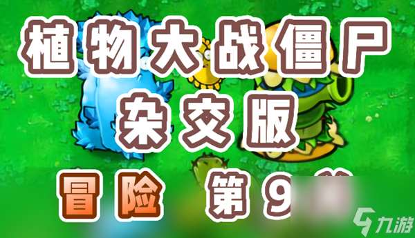 《植物大战僵尸杂交版》冒险第9关怎么过？