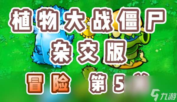 《植物大战僵尸杂交版》冒险第5关怎么过？