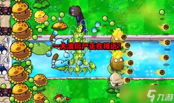 《植物大战僵尸杂交版》冒险14关植物推荐，通关攻略