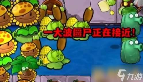 《植物大战僵尸杂交版》全关卡图文冒险通关攻略大全