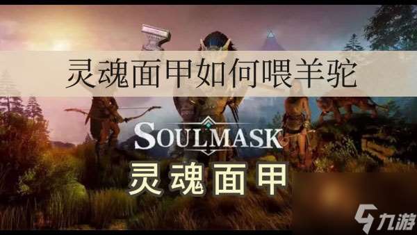 靈魂面甲如何喂羊駝