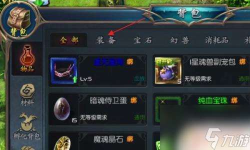 魔域口袋版怎么扔无法丢弃的东西 魔域口袋版装备如何丢弃