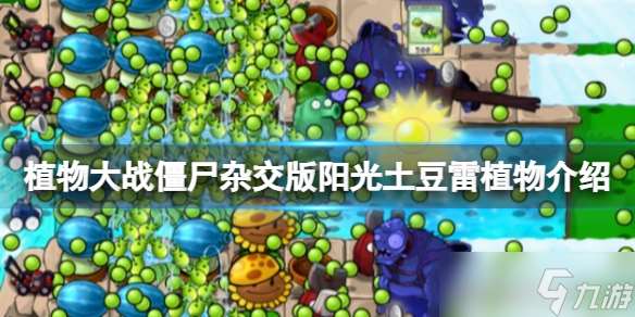 《植物大戰僵尸雜交版》陽光土豆雷植物介紹