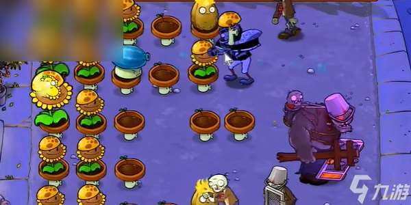 植物大战僵尸杂交版第九关怎么过