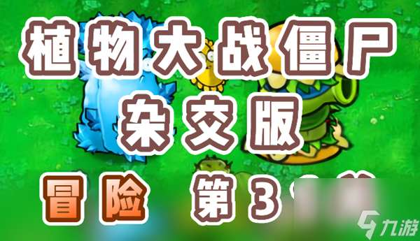 《植物大战僵尸杂交版》冒险第31关怎么过？