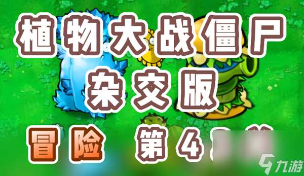 《植物大战僵尸杂交版》冒险第43关怎么过？