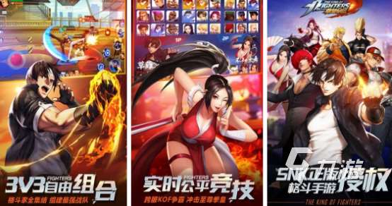 女忍者游戏有哪些2024流行的女忍者游戏合集