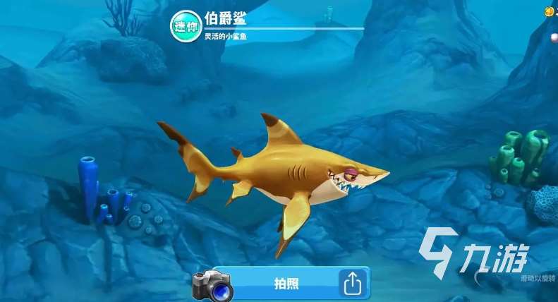 熱門(mén)的鯊魚(yú)模擬器游戲大全 經(jīng)典的鯊魚(yú)游戲合集2024