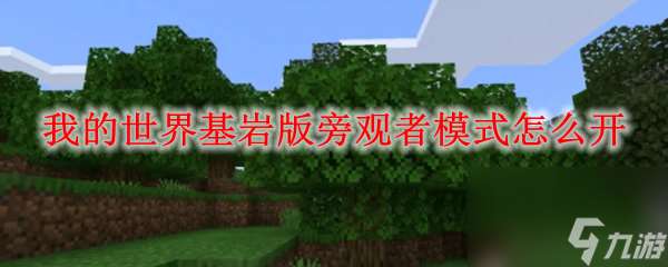 mc基巖版怎么開旁觀者模式