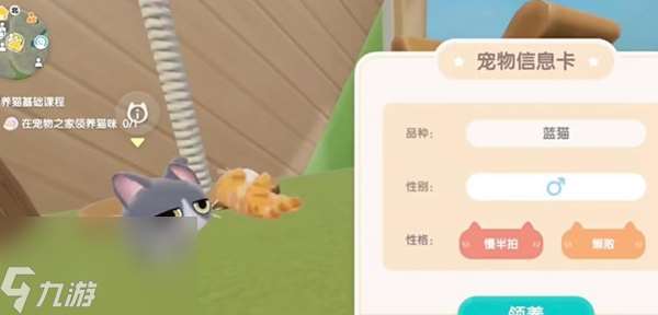 心动小镇领养猫的方法