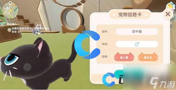 《心动小镇》养猫详细攻略