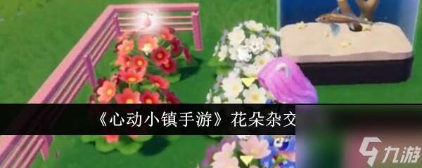 《心动小镇手游》花朵杂交全攻略