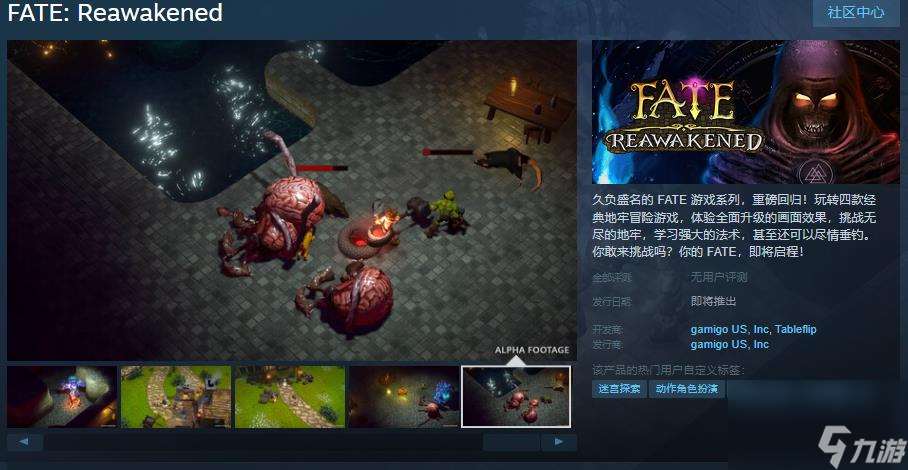 暗黑游戏《FATE: Reawakened》Steam页面 支持简体中文