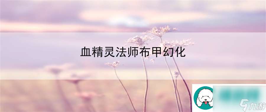 血精灵法师布甲幻化：熟练掌握英雄技能