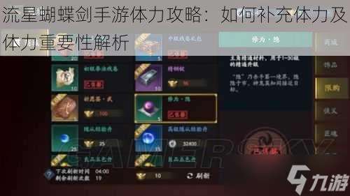 流星蝴蝶剑手游体力攻略：如何补充体力及体力重要性解析