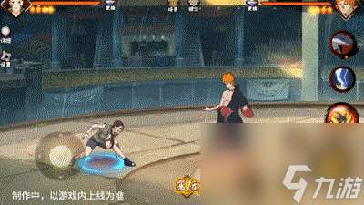 【新忍爆料】與忍犬的絕佳配合，犬冢花即將登場！