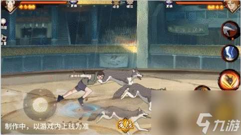 【新忍爆料】與忍犬的絕佳配合，犬冢花即將登場！