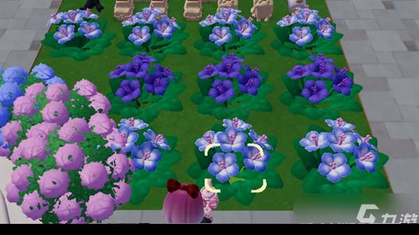 心动小镇扶桑花杂交公式 心动小镇扶桑花杂交怎么种