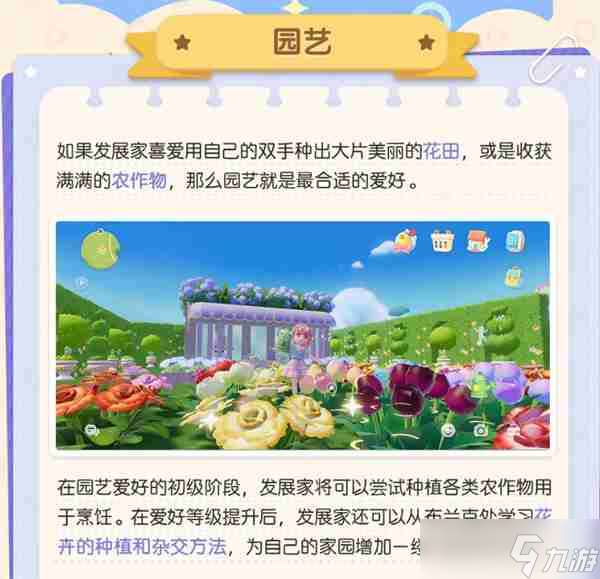 心动小镇爱好怎么解锁 心动小镇爱好怎么选